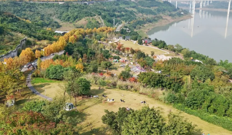 火了！两江新区这个公园一到周末“长”满了人