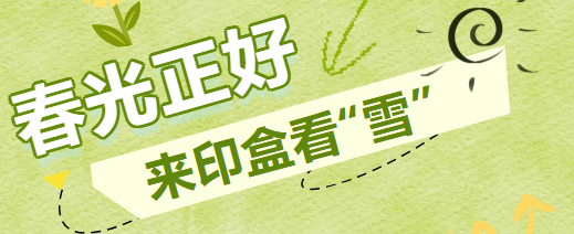 春日必冲！印盒万亩“雪景”等你来